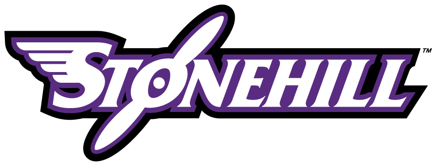 Stonehill Skyhawks 2005-2017 Wordmark Logo diy iron on heat transfer